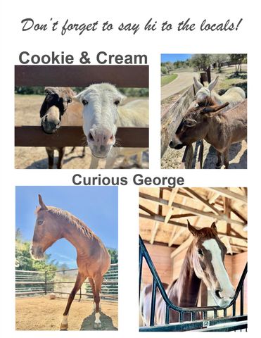 1051 Trailhead CIR, Dripping Springs, TX 78620