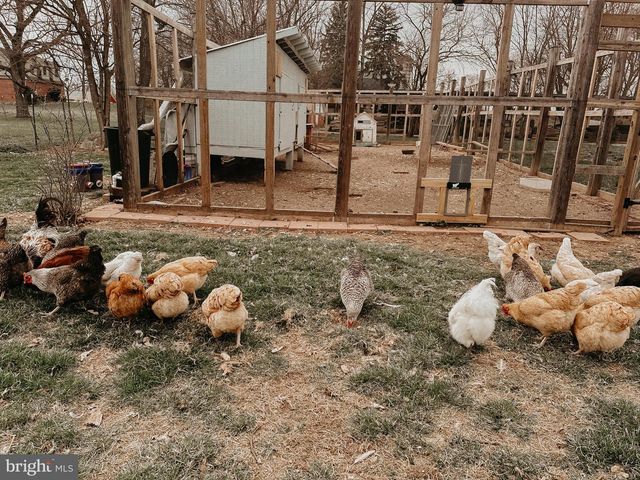 439 SWAN POND RD, Martinsburg, WV 25404