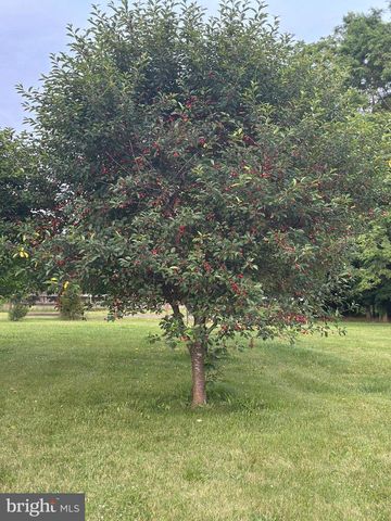 439 SWAN POND RD, Martinsburg, WV 25404