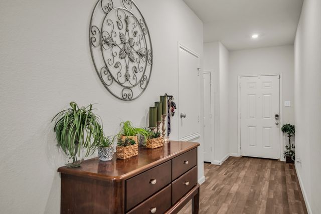 3635 Chestnut Oak Drive, Dallas, TX 75253