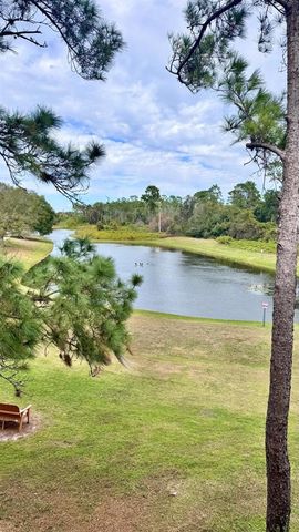 13001 MULBERRY PARK DRIVE 132, Orlando, FL 32821