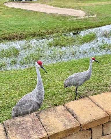 627 ARNOLD PALMER DRIVE, Davenport, FL 33837