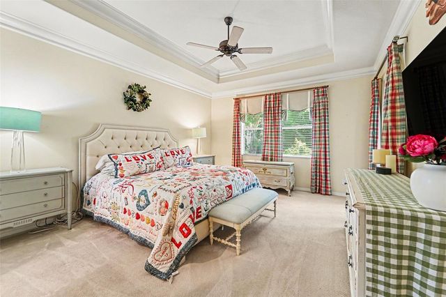 10202 HYANNISPORT LOOP, San Antonio, FL 33576