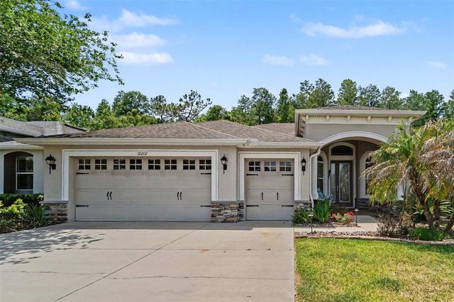 10202 HYANNISPORT LOOP, San Antonio, FL 33576