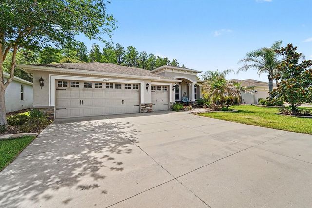 10202 HYANNISPORT LOOP, San Antonio, FL 33576