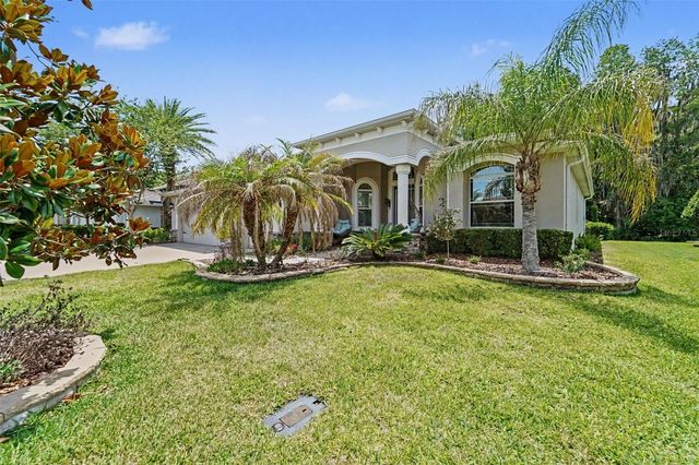 10202 HYANNISPORT LOOP, San Antonio, FL 33576