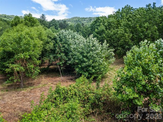 9999 Lollis Road, Candler, NC 28715
