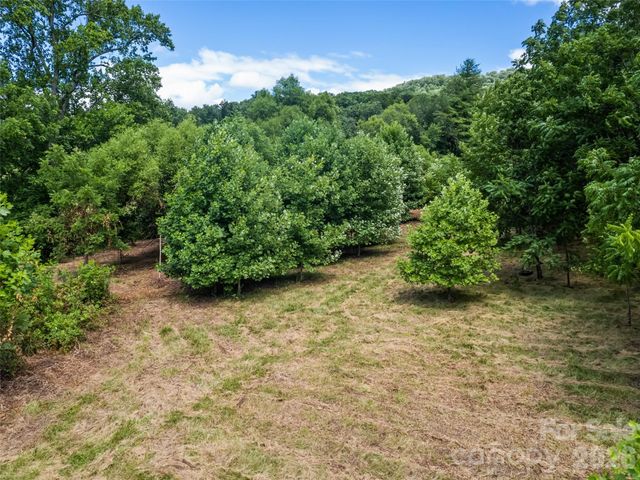 9999 Lollis Road, Candler, NC 28715