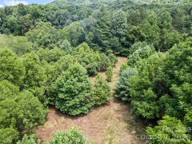 9999 Lollis Road, Candler, NC 28715