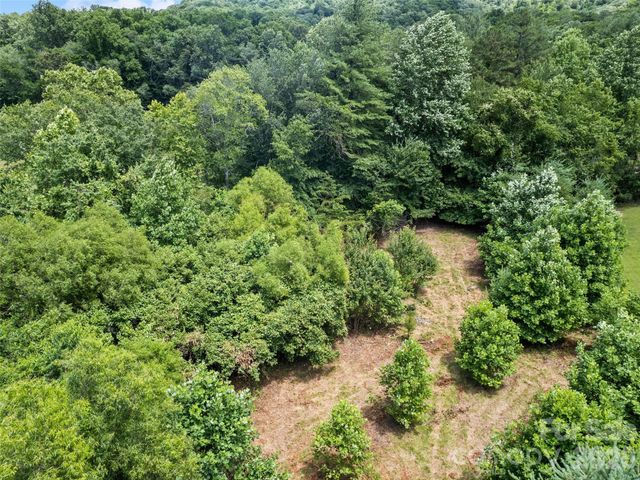 9999 Lollis Road, Candler, NC 28715