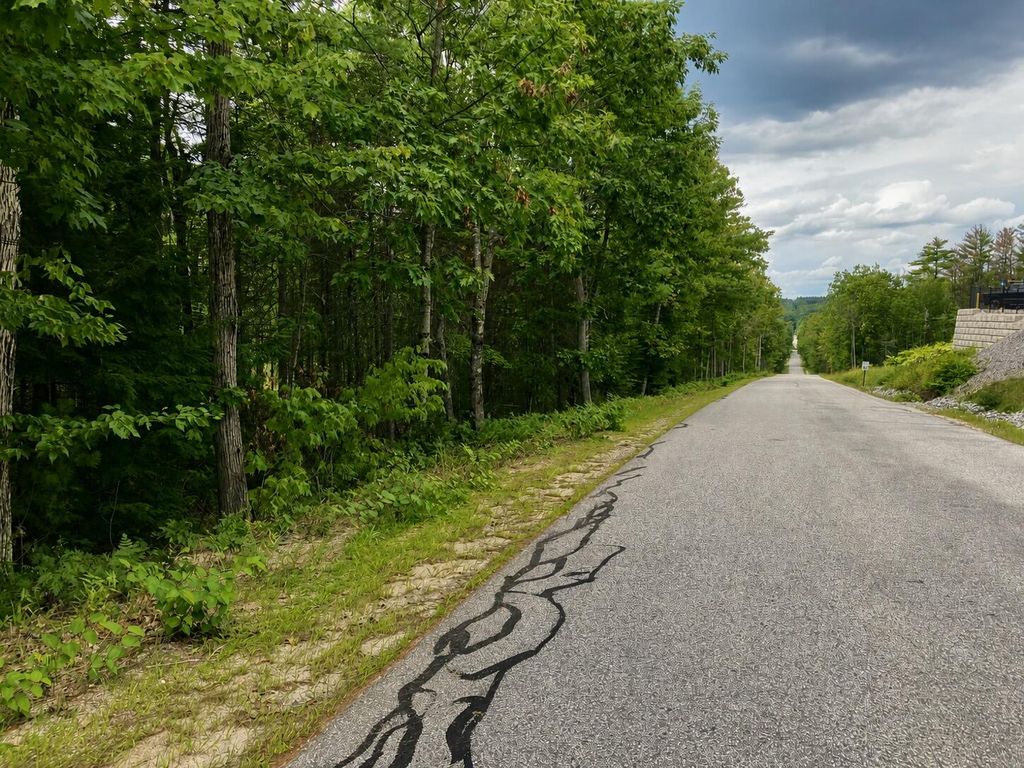 0 Edes Falls Road, Harrison, ME 04040 — photo 2