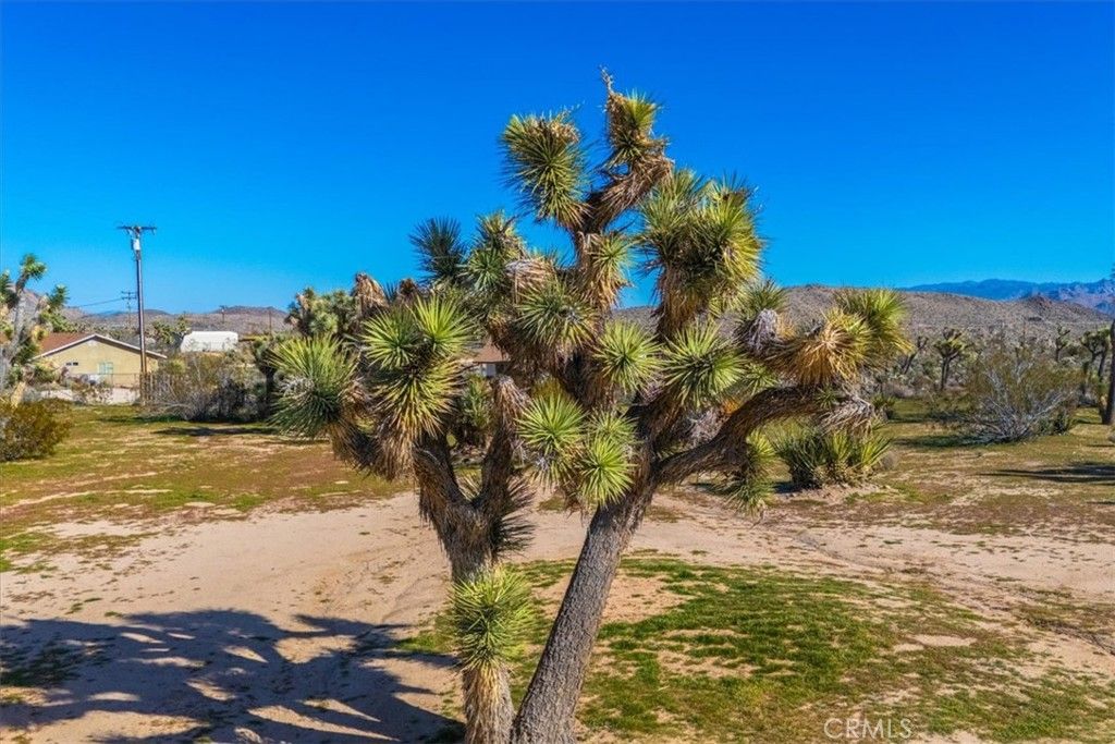 Image 35 of property listing at 5437 Paradise View Road, Yucca Valley, CA 92284