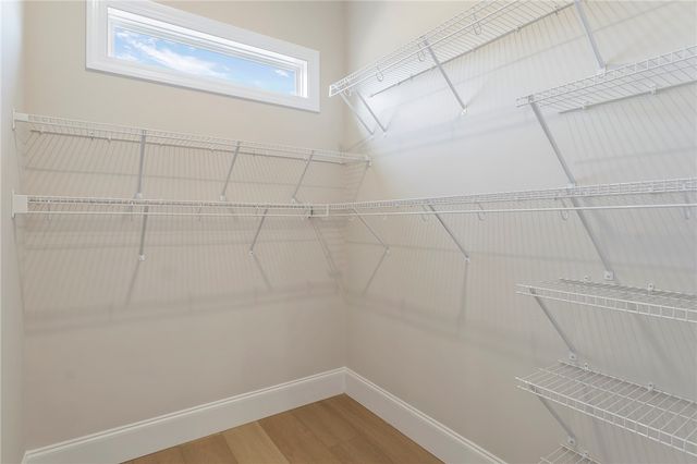 202 Chandler Court, Easley, SC 29642