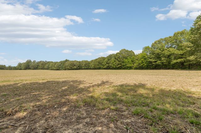 473 Hickory Corner Rd, Bethpage, TN 37022
