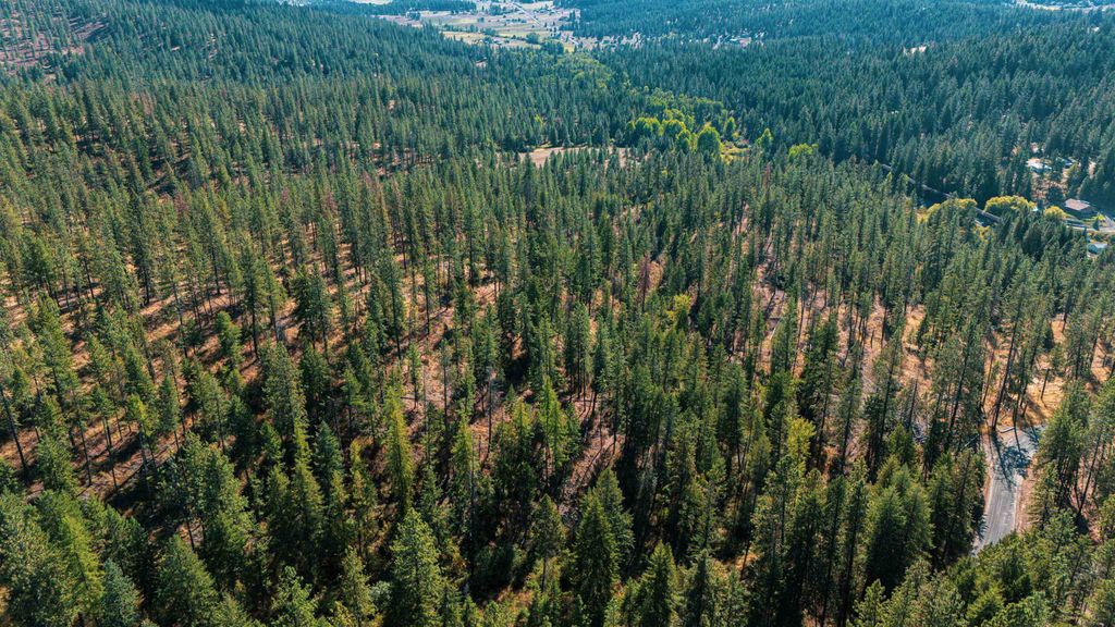 21XXX N MADISON Rd, Mead, WA 99021 photo 11