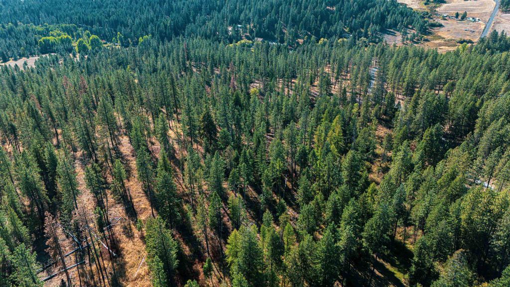 21XXX N MADISON Rd, Mead, WA 99021 photo 12