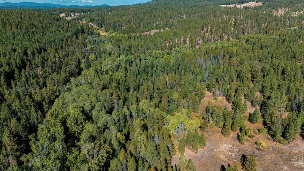 21XXX N MADISON Rd, Mead, WA 99021 photo 5