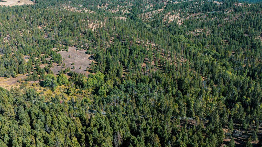 21XXX N MADISON Rd, Mead, WA 99021 photo 6