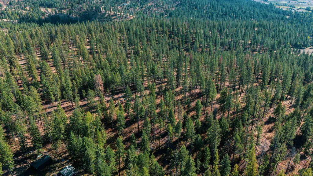 21XXX N MADISON Rd, Mead, WA 99021 photo 7