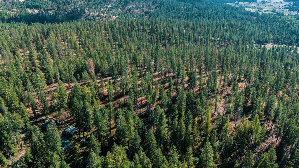 21XXX N MADISON Rd, Mead, WA 99021 photo 8