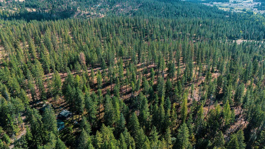 21XXX N MADISON Rd, Mead, WA 99021 photo 9