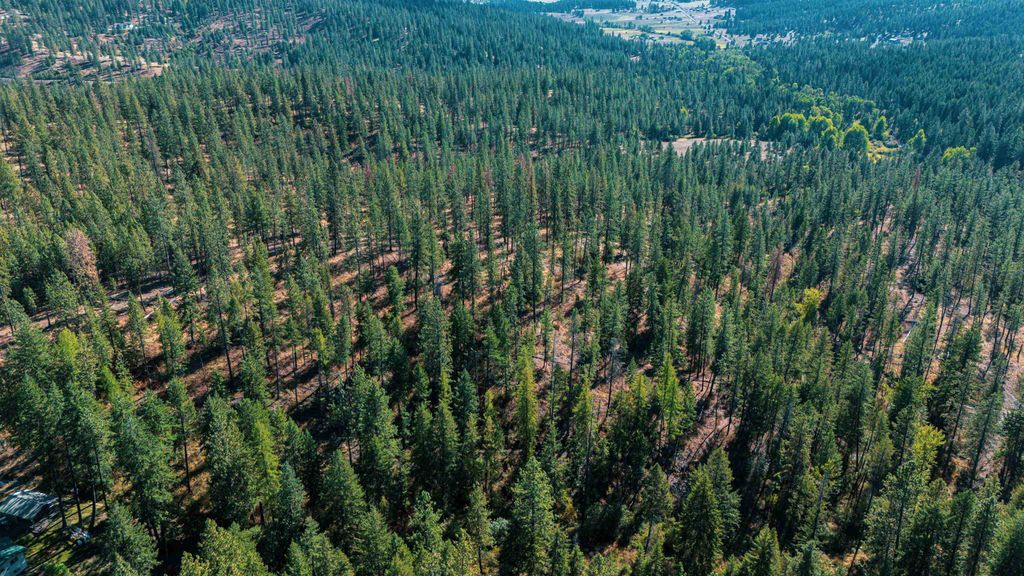 21XXX N MADISON Rd, Mead, WA 99021 photo 10