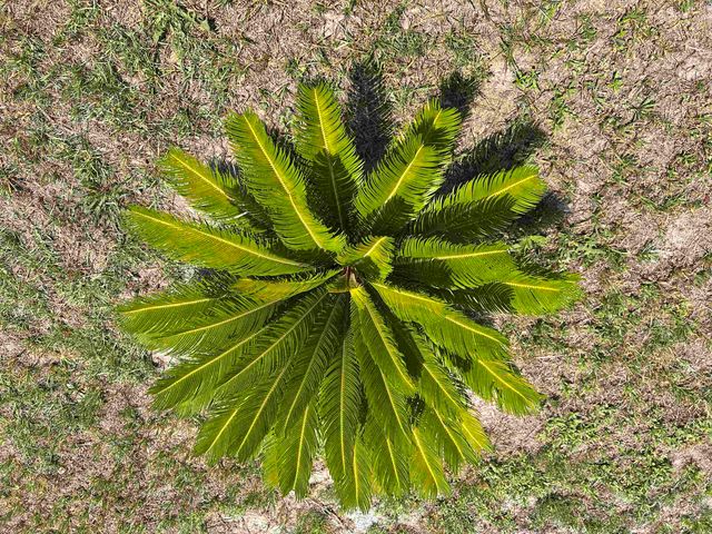 112 Village Ct., Murrells Inlet, SC 29576