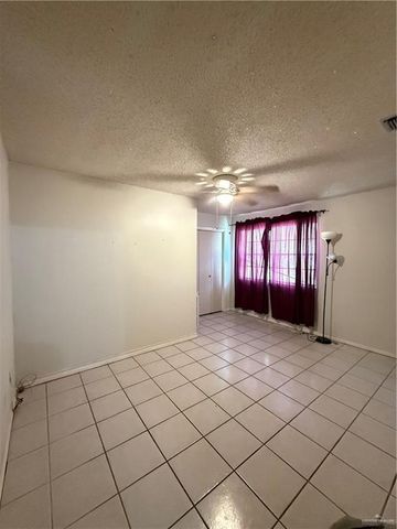 2822 Maria Luiza Drive, Edinburg, TX 78539