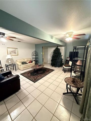 2822 Maria Luiza Drive, Edinburg, TX 78539