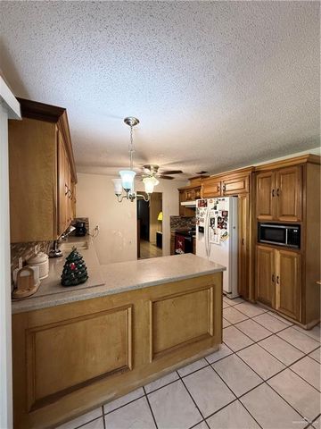 2822 Maria Luiza Drive, Edinburg, TX 78539