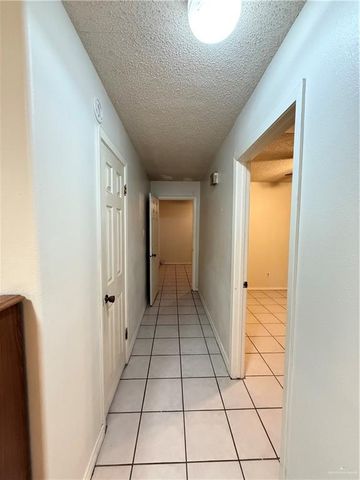 2822 Maria Luiza Drive, Edinburg, TX 78539