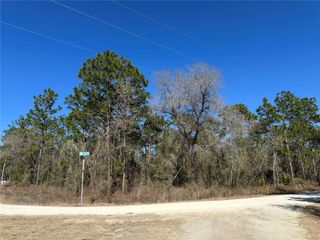 00 SW 78TH PLACE, Dunnellon, FL 34432