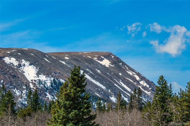 2491 Cr-12, Alma, CO 80420
