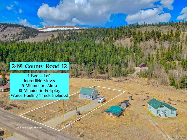2491 Cr-12, Alma, CO 80420