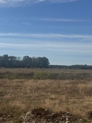 15283 Hwy 99, Eagleville, TN 37060