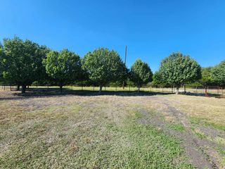 1654 Hash Road, Lancaster, TX 75146