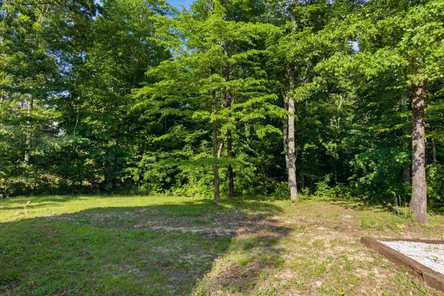 45 Bill Ct, Waverly, TN 37185