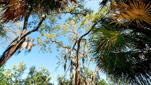 540 MAST DRIVE, Bradenton, FL 34208