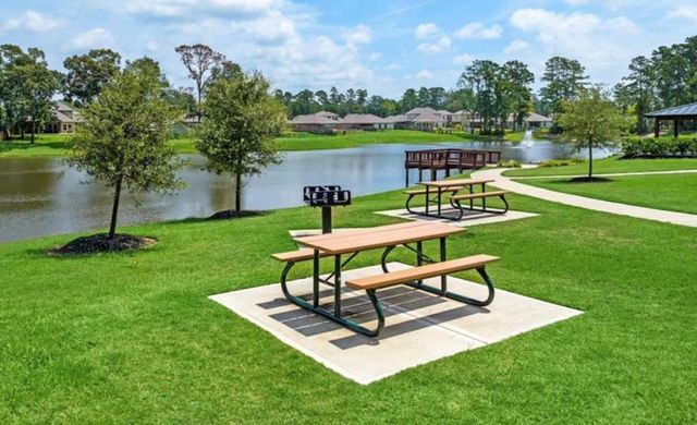 8411 Sweet Cherry Lane, Magnolia, TX 77354