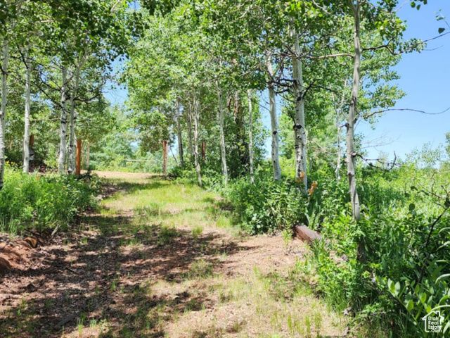 11829 FALCON PT #H21, Huntsville, UT 84317