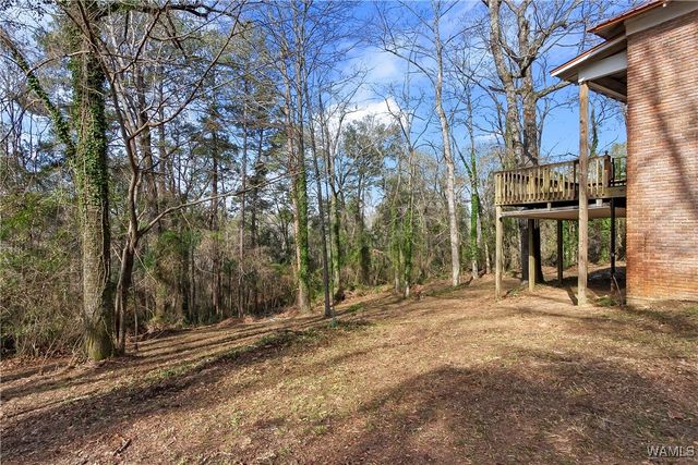 8850 Nicol Hill, Cottondale, AL 35453