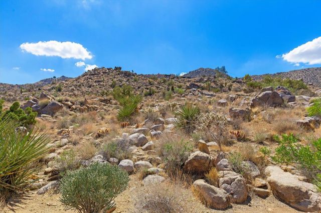 8744 Star Lane, Joshua Tree, CA 92252
