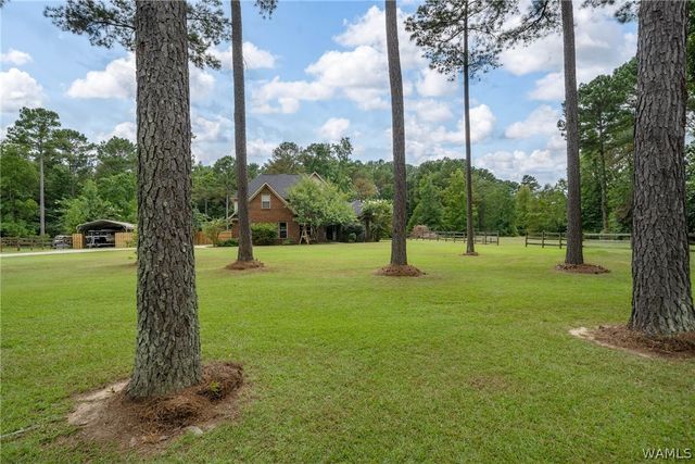 12414 Cherokee Trail, Northport, AL 35475