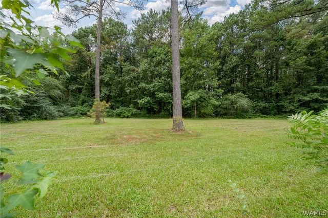 12414 Cherokee Trail, Northport, AL 35475