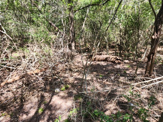 240 Iva LN, Bastrop, TX 78602