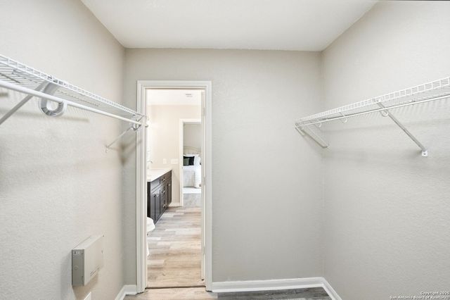 10335 Royal Estate, San Antonio, TX 78245