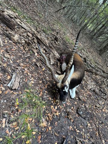 120 Private Road 2123, Meridian, TX 76665