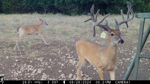 120 Private Road 2123, Meridian, TX 76665