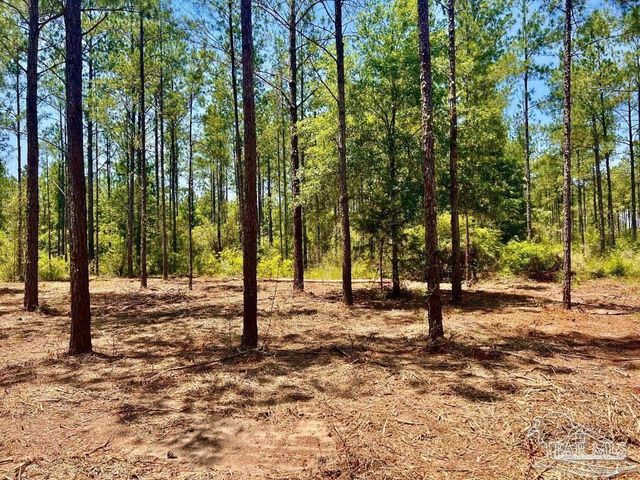 LOT 87 Pine Preserve Ln, Pace, FL 32571