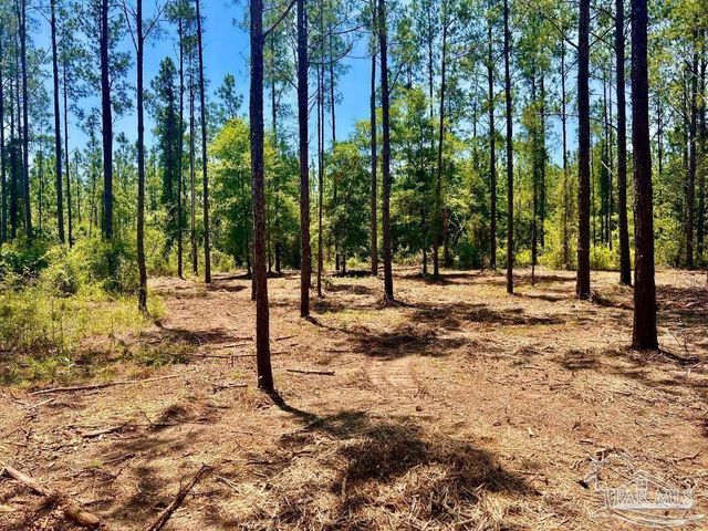 LOT 87 Pine Preserve Ln, Pace, FL 32571